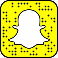 徽标Snapchat社交媒体广告-山露