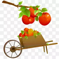 食品手推车苹果剪贴画.苹果水果
