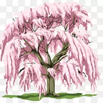 树木剪贴画-草药