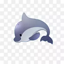 海洋海豚甲壳动物海洋生物-海豚