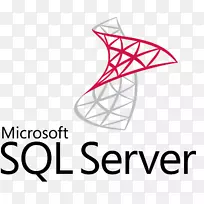Microsoft sql server数据库管理员-server