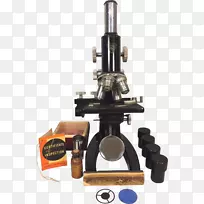 显微镜动物学标本Bausch&Lomb光学仪器科学仪器-显微镜