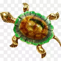 箱形海龟爬行动物龟首饰-海龟