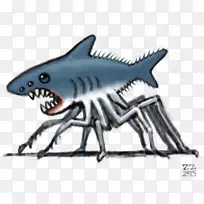 虎鲨蜘蛛动物-鲨鱼