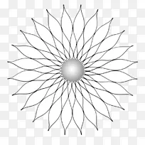 二十角形镜星多边形-万寿菊