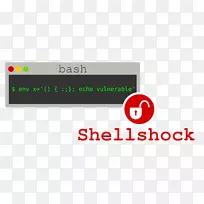 Shell休克bash漏洞计算机安全-外壳