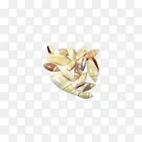 食品贝壳橄榄工艺加仑个人电脑