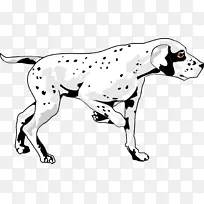 巴塞特猎犬，达拉马提安犬，宠物-动物轮廓