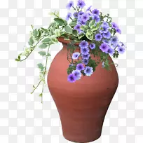 切花紫罗兰花卉设计植物.紫罗兰