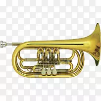 黄铜乐器，小号，男高音，角，喇叭和萨克斯管