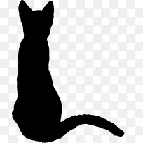 猫轮廓画动物轮廓