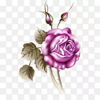 花静物：粉红玫瑰画野果花园玫瑰牡丹