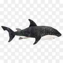 蓝鲨海豚鱼鲨鱼鳍鲸