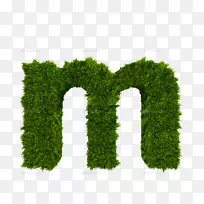 字母大小写m-字母m