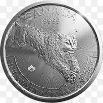 加拿大珀斯薄荷金银硬币银币