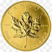 加拿大金枫叶盎司正金币和反向金币