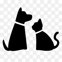 宠物看家狗遛猫