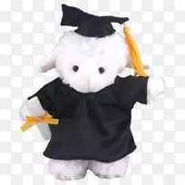 毛绒玩具和可爱玩具毕业典礼学术礼服广场学术帽长毛绒毕业礼服