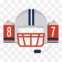 新英格兰爱国者NFL纽约巨人休斯顿德克萨斯西雅图海鹰新英格兰爱国者