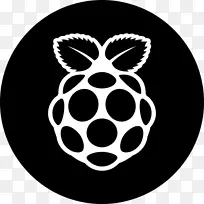 raspberry pi计算机图标安全数字-raspberry
