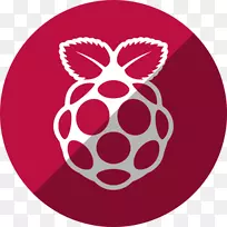 raspberry pi计算机图标下载安全数字noobs-raspberry
