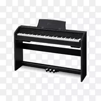 Privia数字钢琴键盘乐器.钢琴键盘