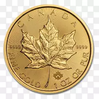 加拿大金枫叶金币皇家加拿大铸币