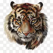 虎水彩画-老虎
