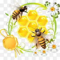 蜜蜂可以收藏摄影剪贴画-蜜蜂