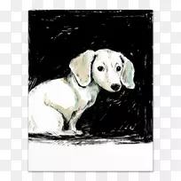 拉布拉多猎犬运动团体犬种画墨