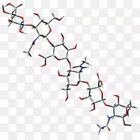 基质生物多糖细胞功能-生物医学
