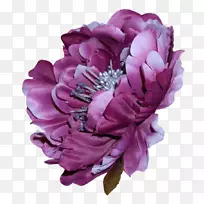 切花玫瑰紫花