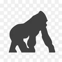 大猩猩灵长类动物非洲象计算机图标濒危物种大猩猩载体