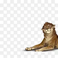 狮子猫科暹罗猫须鬣狗日落狮