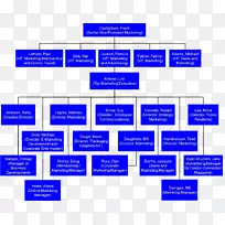 组织结构图Costco营销计划-商业图表宣传图片