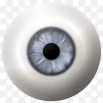 人眼虹膜瞳孔三维等距