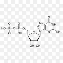 环磷酸腺苷-三磷酸腺苷-二磷酸腺苷第二信使系统-分子结构