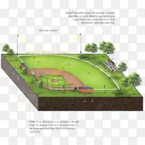 雨水排水生物保持灌溉草坪-足球场草坪