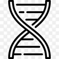 生物遗传学dna-dna结构人类