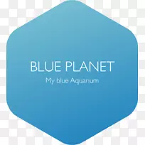 软件开发商标志绿松石-蓝色星球