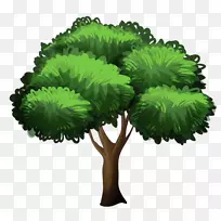 狗树小狗-秋季边界