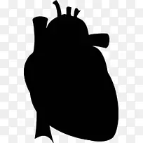 心脏轮廓画解剖学剪贴画艺术心形轮廓