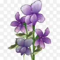 保姆托儿传单-紫花卡