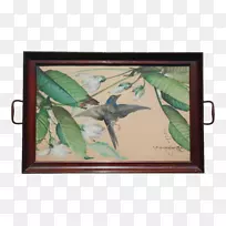 绘画画框动物传粉艺术作品手绘鸟类