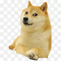 Dogecoin shiba Inu-这只狗正在支付新年电话。