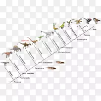 鸟类恐龙南方巨兽龙的演变