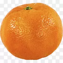 克莱门汀水果橘子提升机