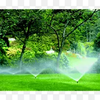 灌溉喷头绿化草坪景观设计.郁郁葱葱的树顶