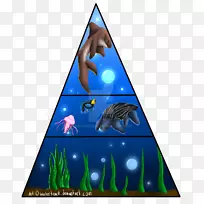 皮背海龟食物金字塔-食物金字塔