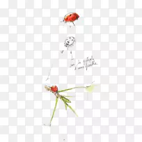 叶柄叶虫蚜虫茎叶柄